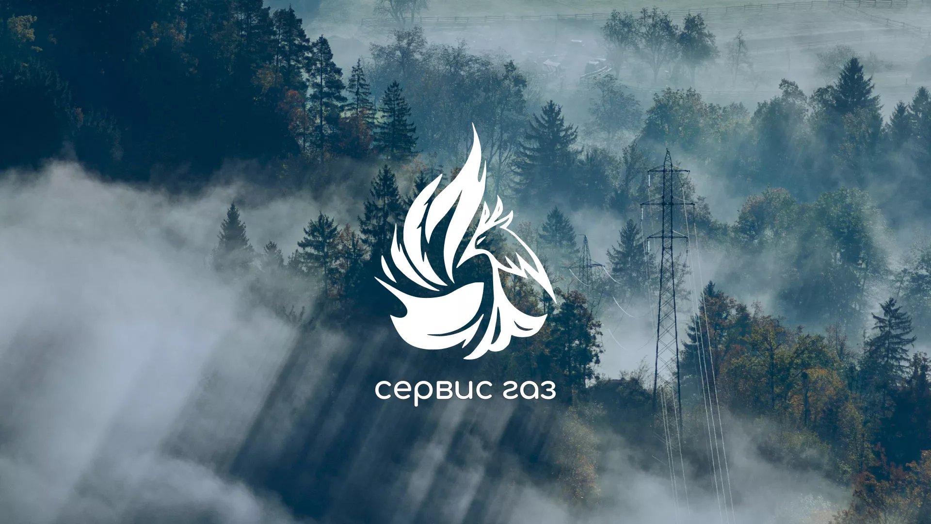 Создание сайта компании «Сервис газ» в Немане