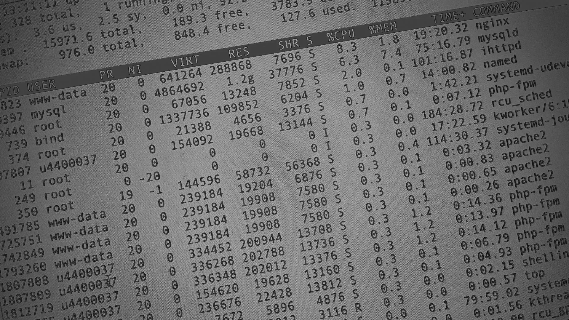 Настройка сервера в Немане