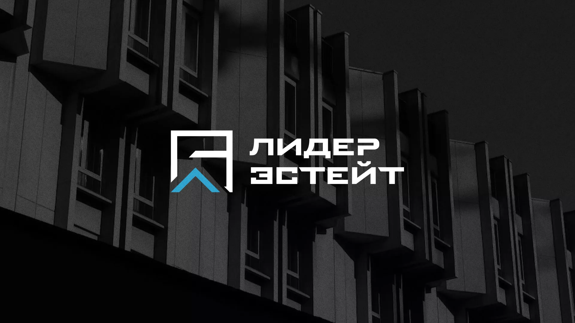 Разработка логотипа агентства недвижимости «Лидер Эстейт» в Немане